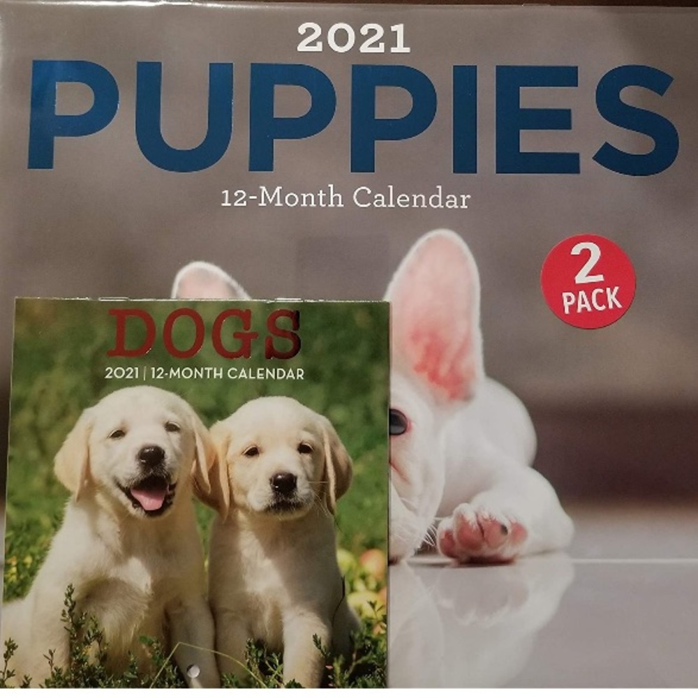 Bundle 2021 PUPPIES 2 Pack & Magnet Mini 📆Pad NEW